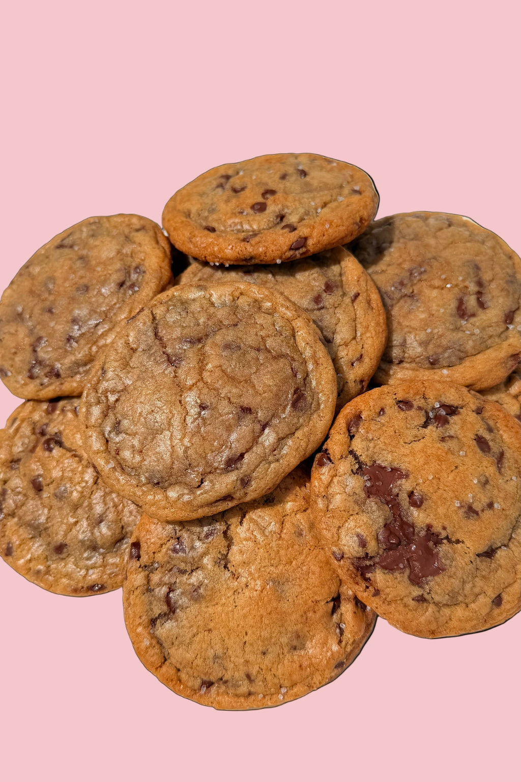 A Dozen Chocolate Chip